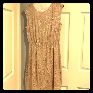 JCrew Sequin Dress